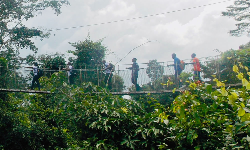 5 Days Nyungwe Forest National Park Tour