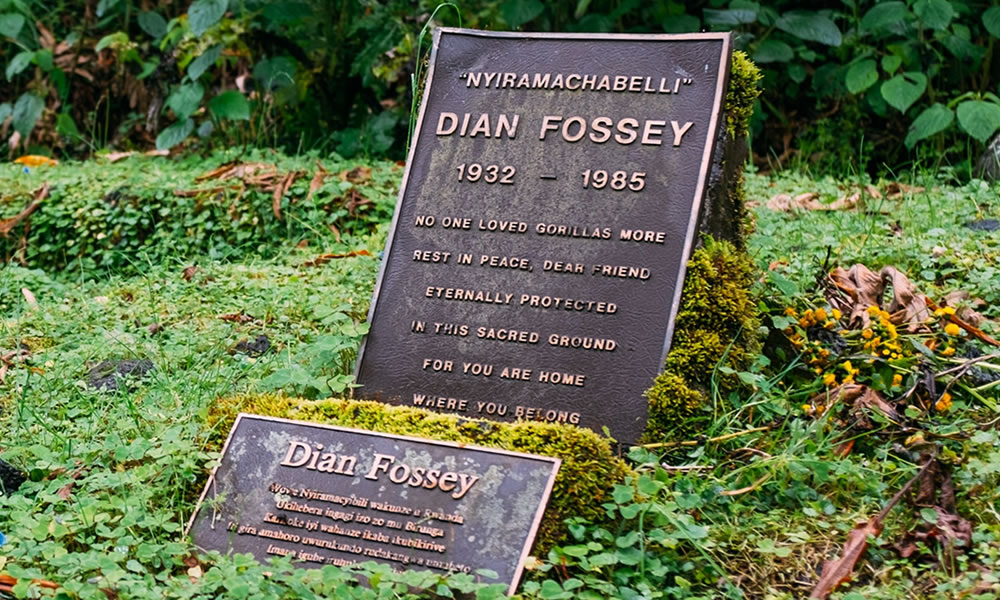 Hiking the Dian Fossey tomb in Rwanda