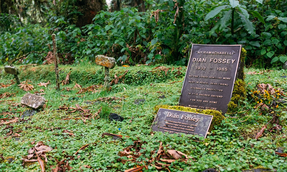 4 Days Rwanda Gorillas and Dian Fossey Tomb Hike