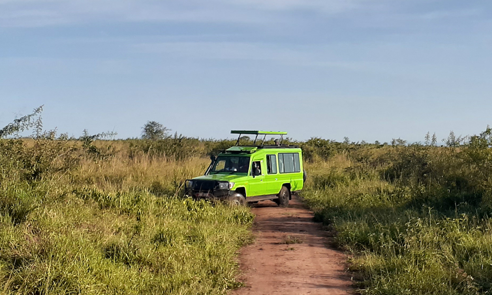 Wildlife Game Drives in Akagera National Park