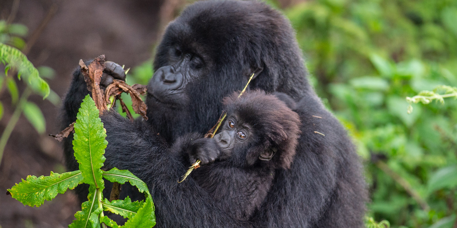 Fruits of Hope Adventure Tours and Travel