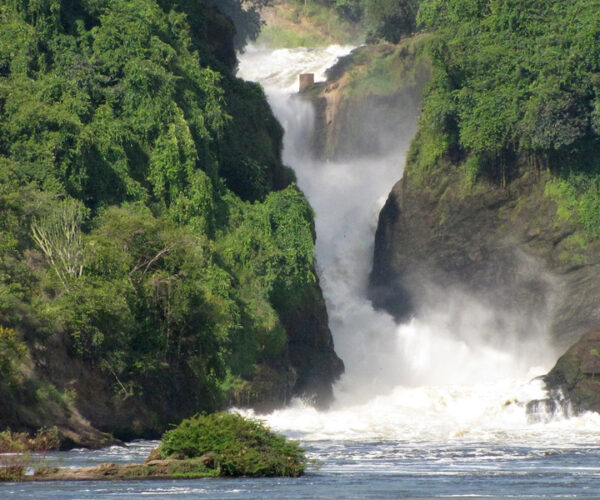 3 Days Murchison Falls National Park Safari