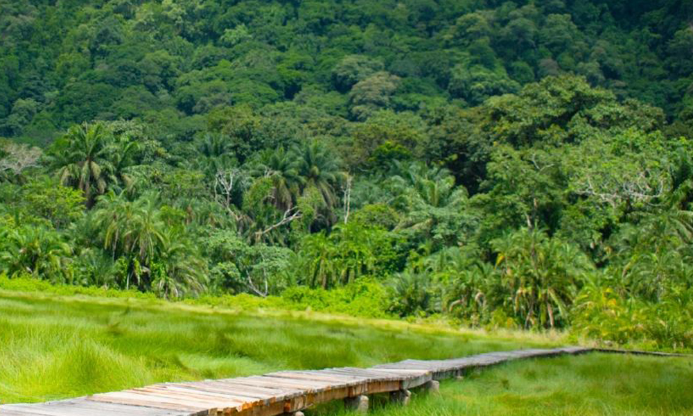 4 Days Semuliki National Park Tour