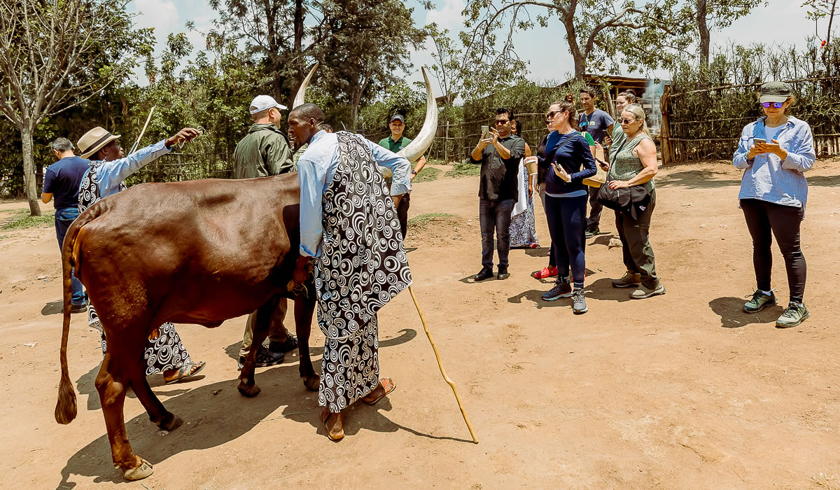 Things to Do in Rwanda