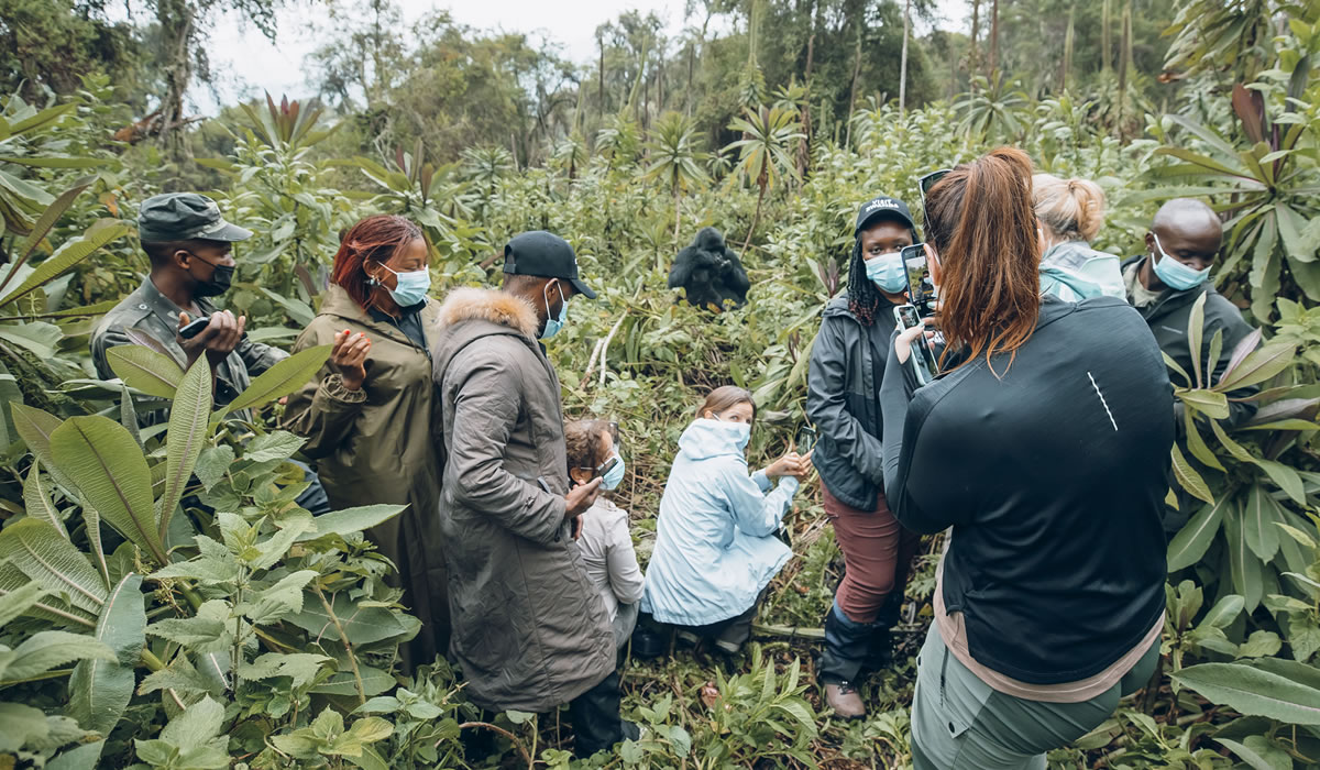 Packing List for a Gorilla Trekking Safari in Rwanda