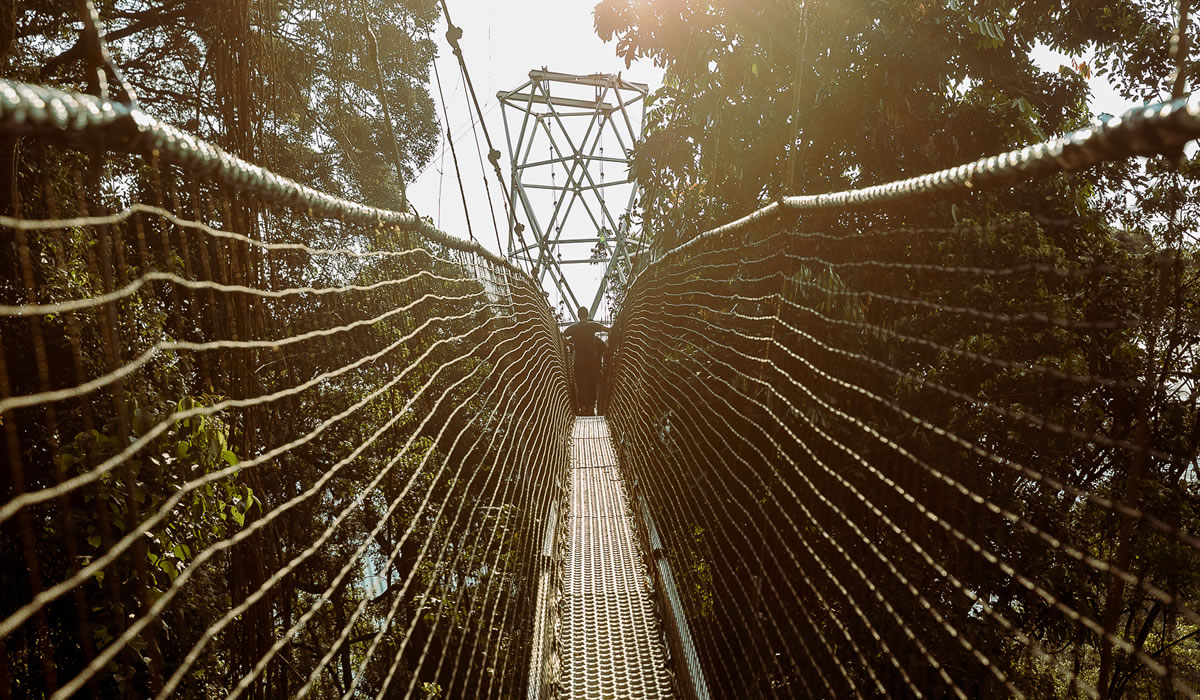 4 Days Nyungwe Forest and Akagera Wildlife Safari