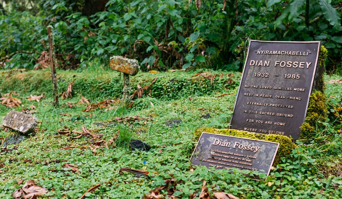 6 Days Rwanda Primates and Dian Fossey Tomb Hike