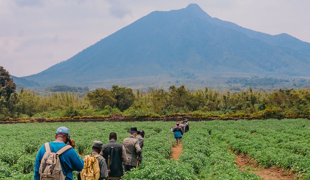 Climbing Volcano Mountains in Rwanda