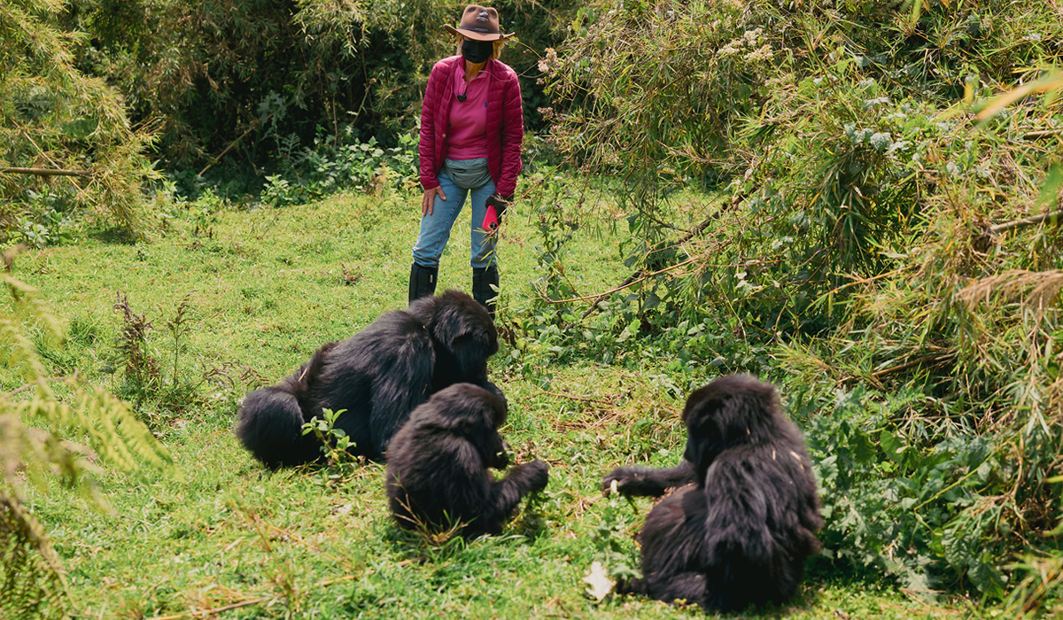 Wildlife Conservation Efforts in Rwanda