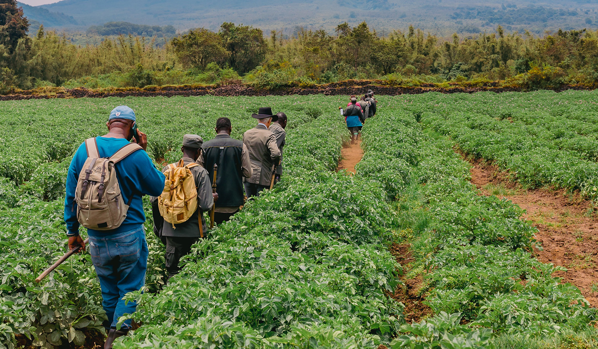 Backpacking Through Rwanda