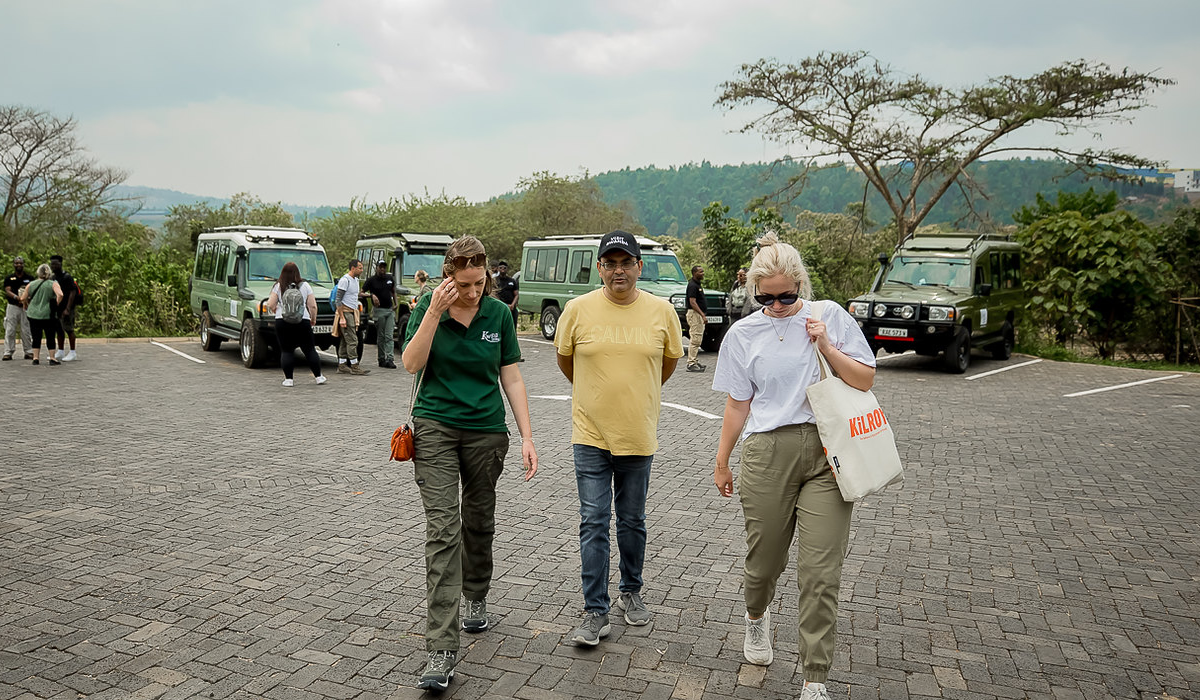 How to Plan a Rwanda Safari