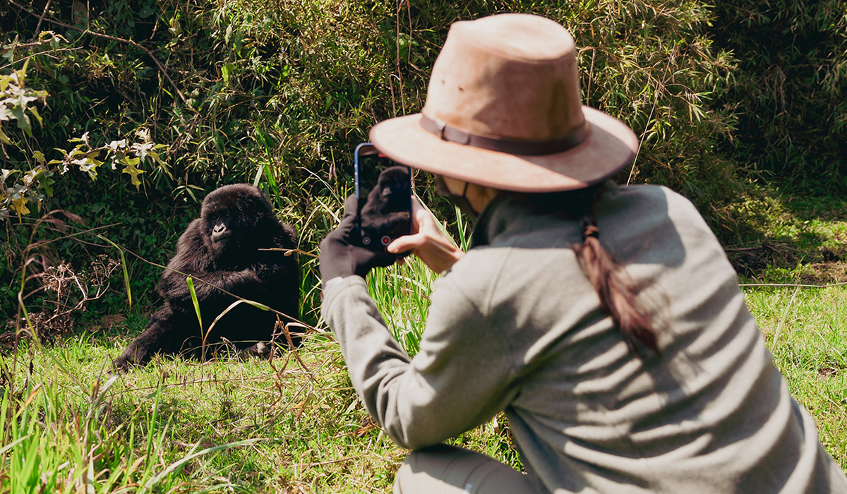 Exclusive Safari Experiences in Rwanda