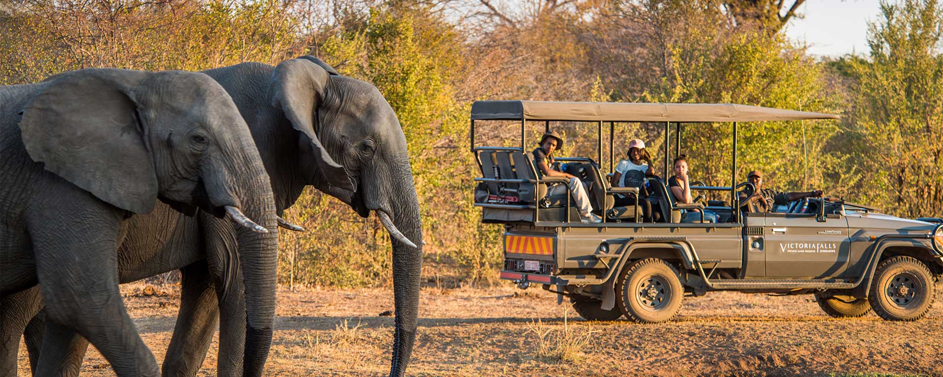 Best country for safari in Africa