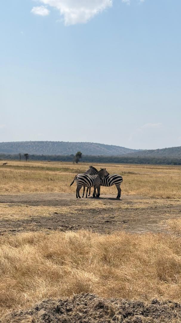 Fruits of Hope Adventure Tours wildlife safari in Rwanda