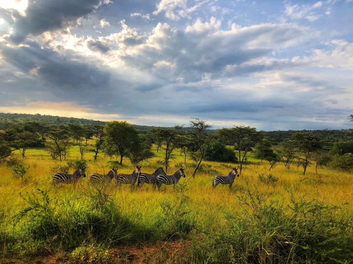 Lake Mburo National Park