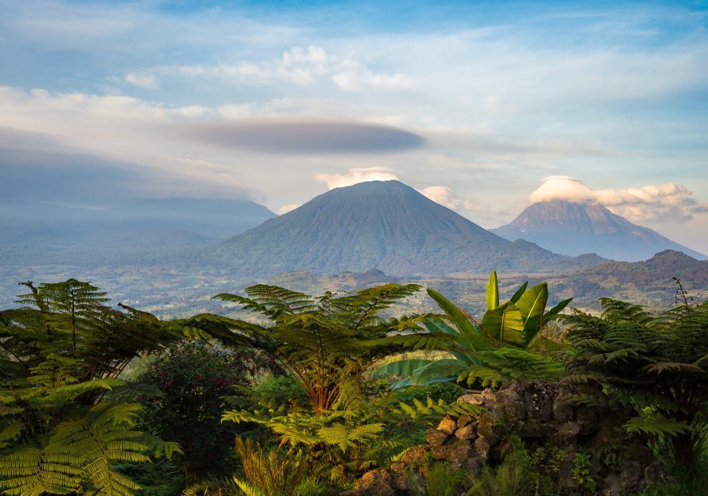 Volcanoes National Park Rwanda